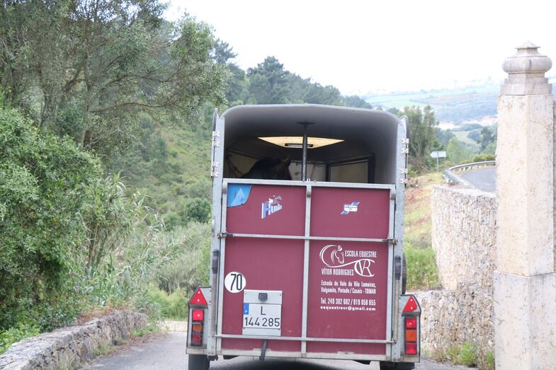 Primeiras imagens: Sofia Arruda faz casamento à porta fechada em quinta na Ericeira 