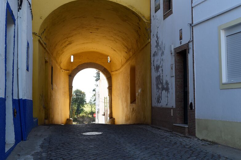 Agricultor de Elvas na verdade não é dono de nada