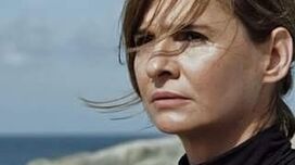 As acusações de Sylvie Rocha contra Manuel Wiborg