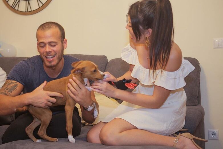 Pedro Moreira, Isabela Cardinali