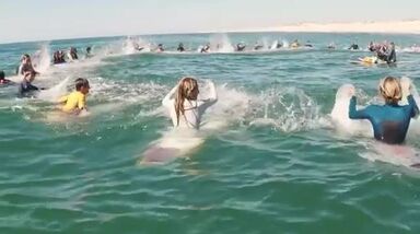 A homenagem da Associação Nacional Surfistas que está a emocionar o País